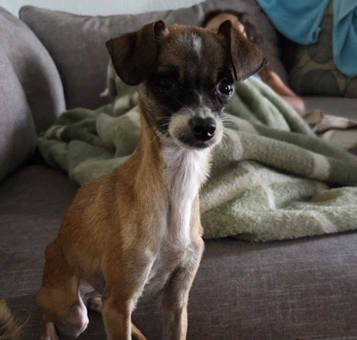 Photo of Penelope