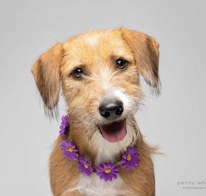 Photo of Ruby