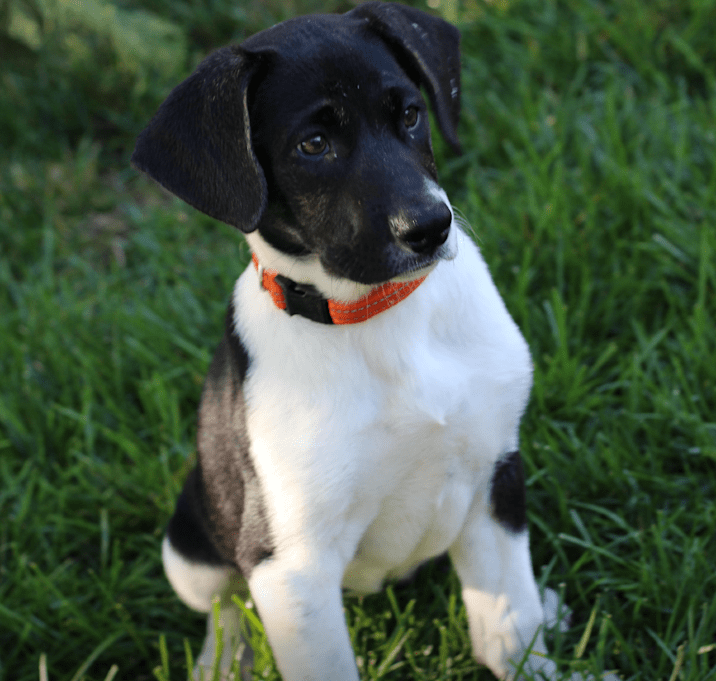 Photo of Enid