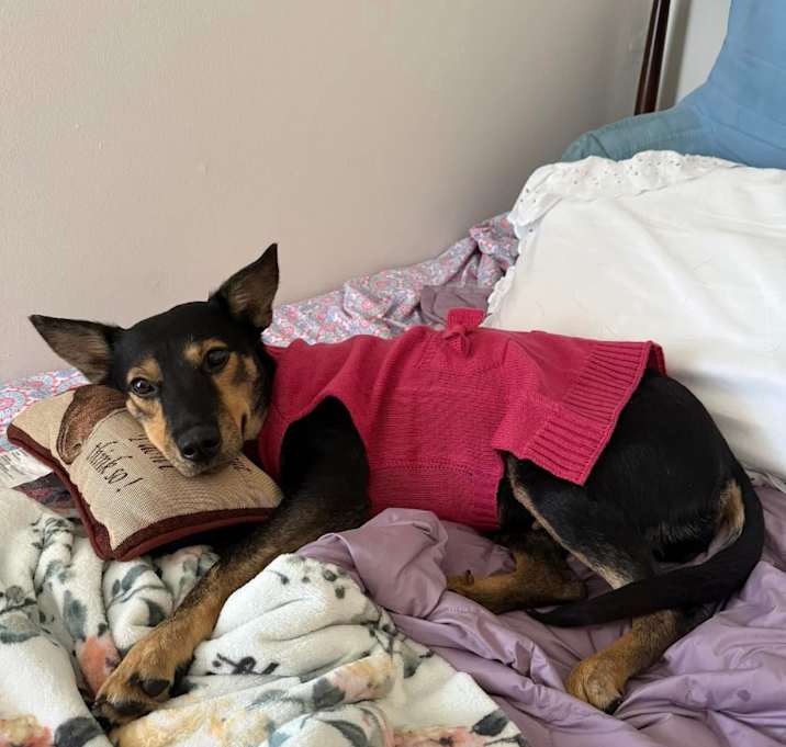 Photo of Dianna Brackyn