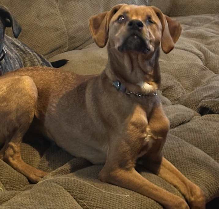 Photo of Sleepy (PA) - FUN!