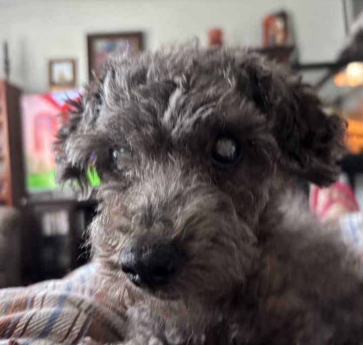 Photo of Marty (PA) Sweet!