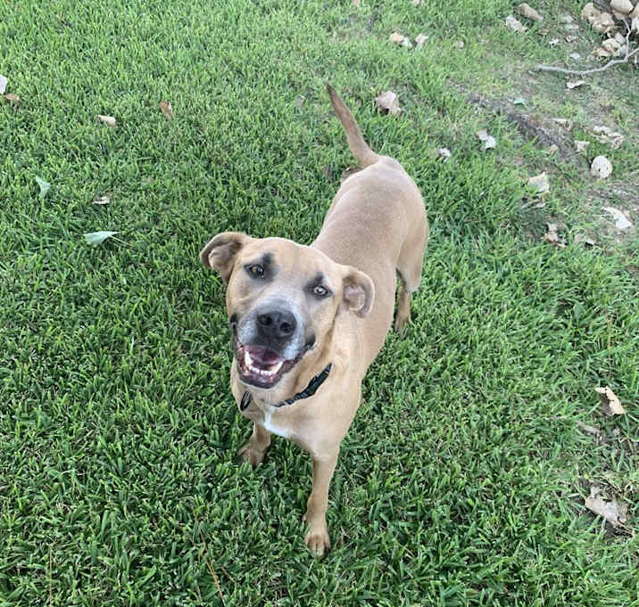 Photo of Delilah
