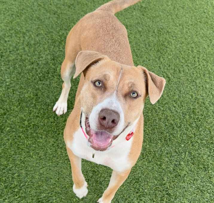 Photo of Suzy A2188646