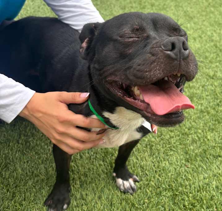 Photo of Jekyll C000-568 - City of Industry Location