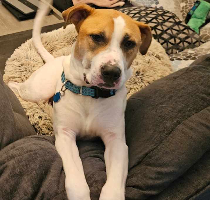 Photo of GARY all american