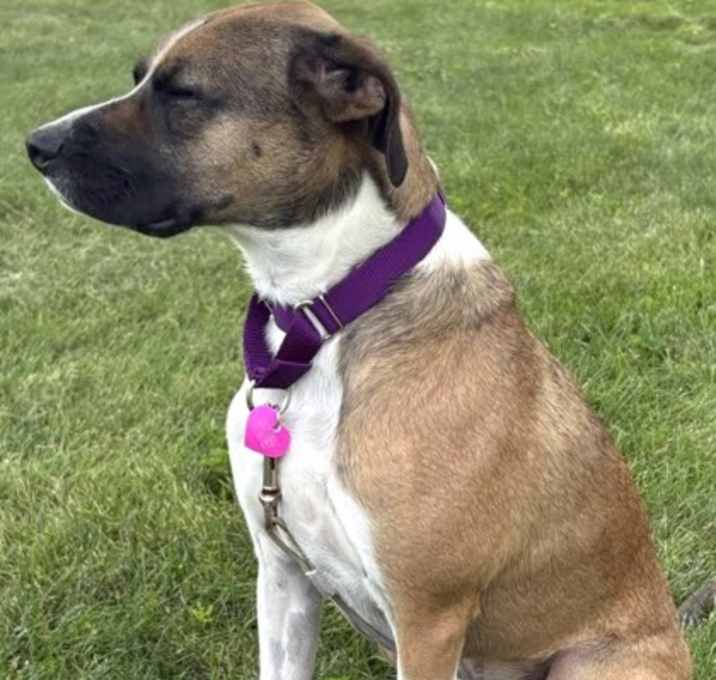 Photo of Eddie-Titan