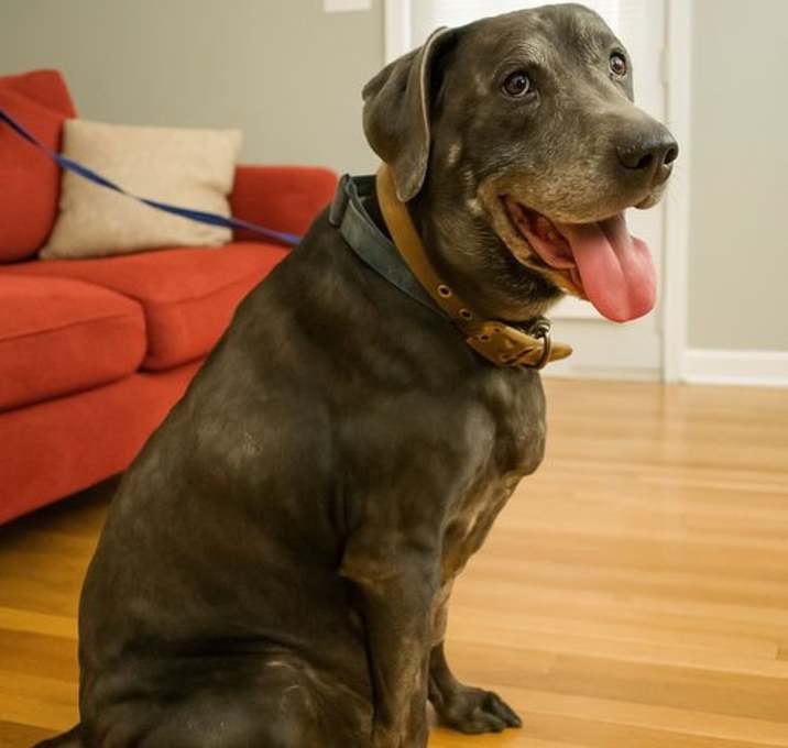 Photo of Root Beer *Home for the Holidays 1/2 price!.