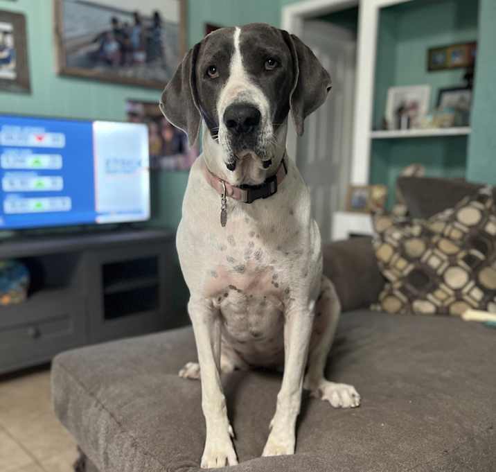 Photo of Zoe