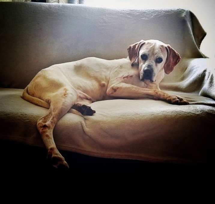 Photo of Amelia