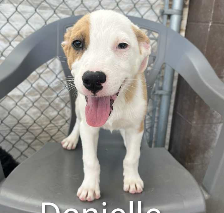Photo of Danielle