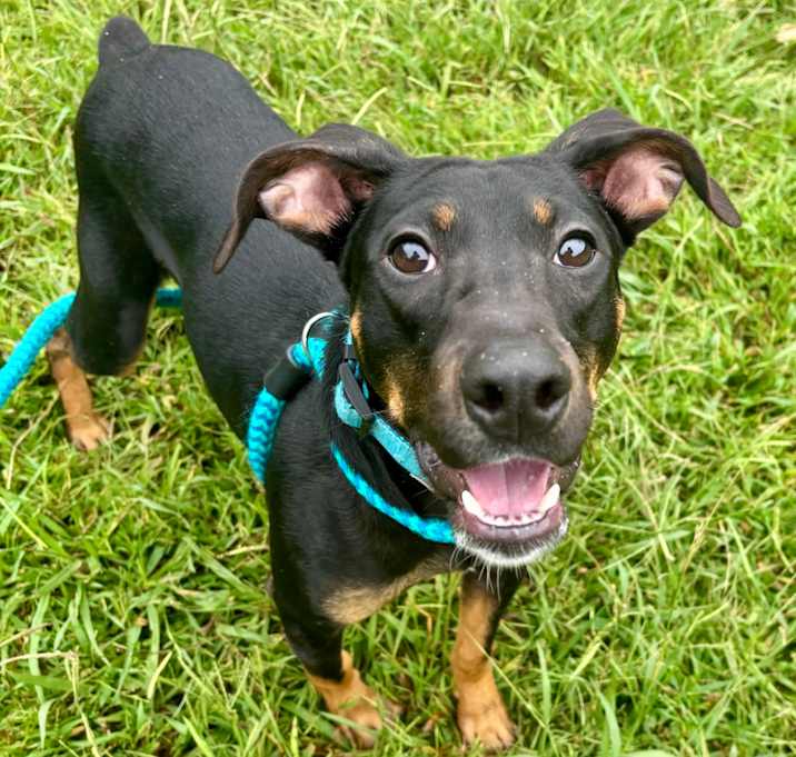 Photo of Heinz