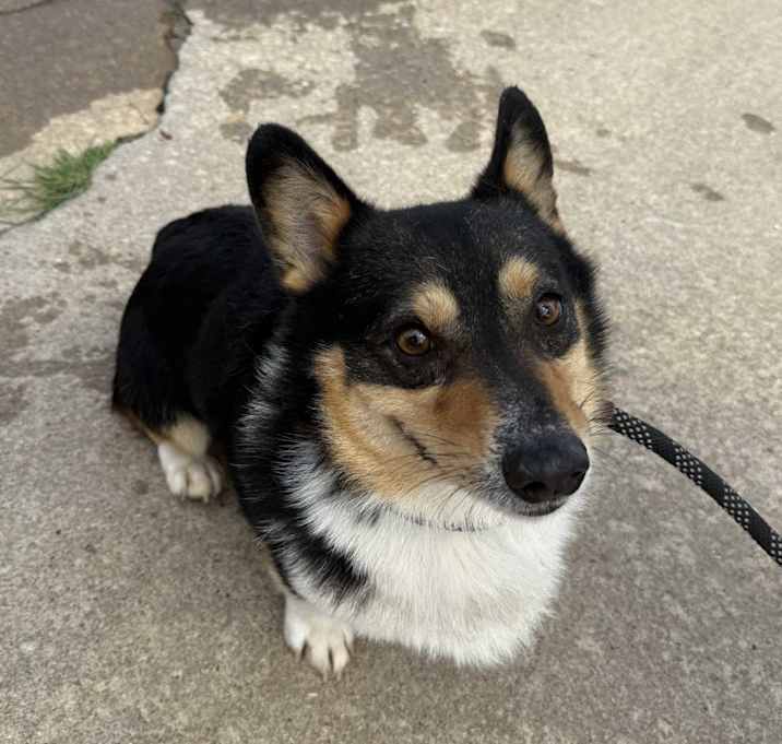 Photo of Colonel Mustard