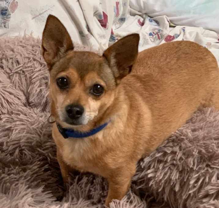 Photo of Jean Claude