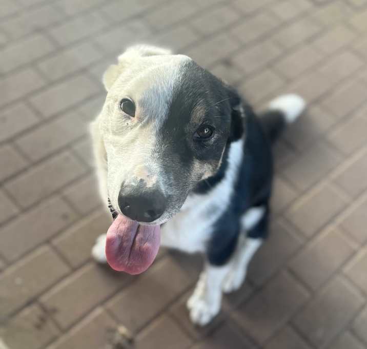 Photo of Harvey Dent