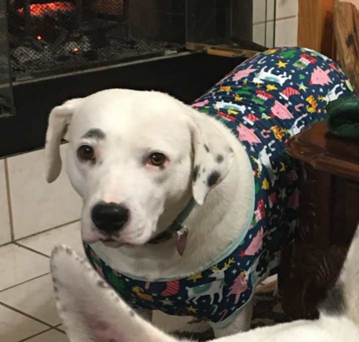 Photo of Princess