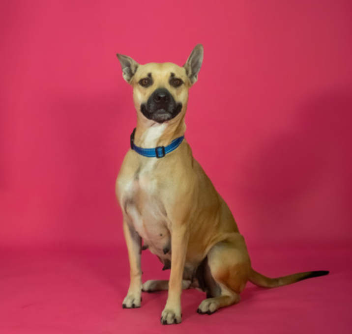 Photo of Bread Crumb*