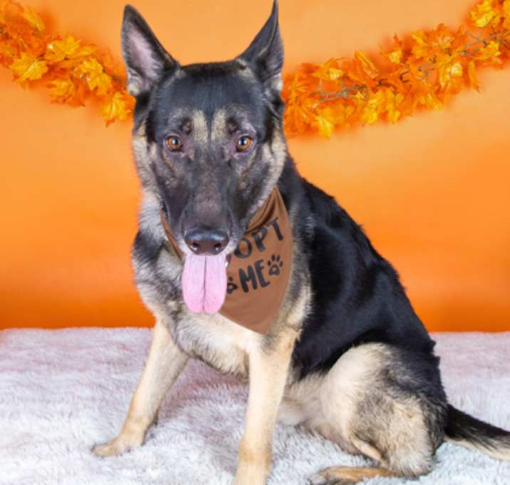 Photo of 91927 Maslow