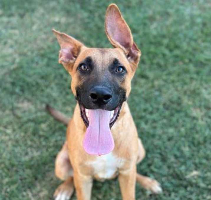 Photo of Gumbo