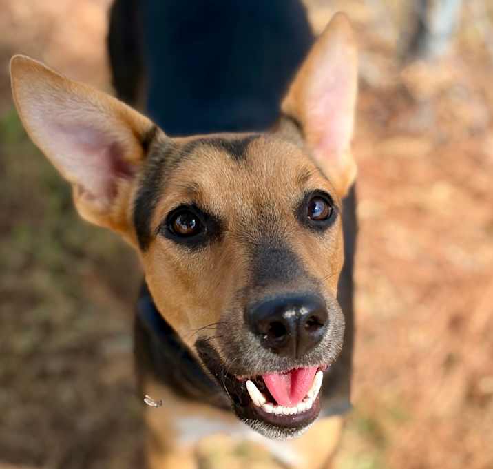 Photo of Glenda 25-08-094