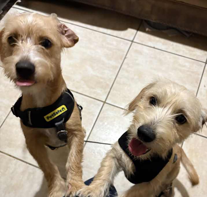 Photo of Jacob and Avenger