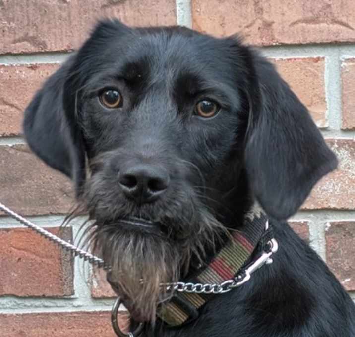 Photo of Otis Sheldon