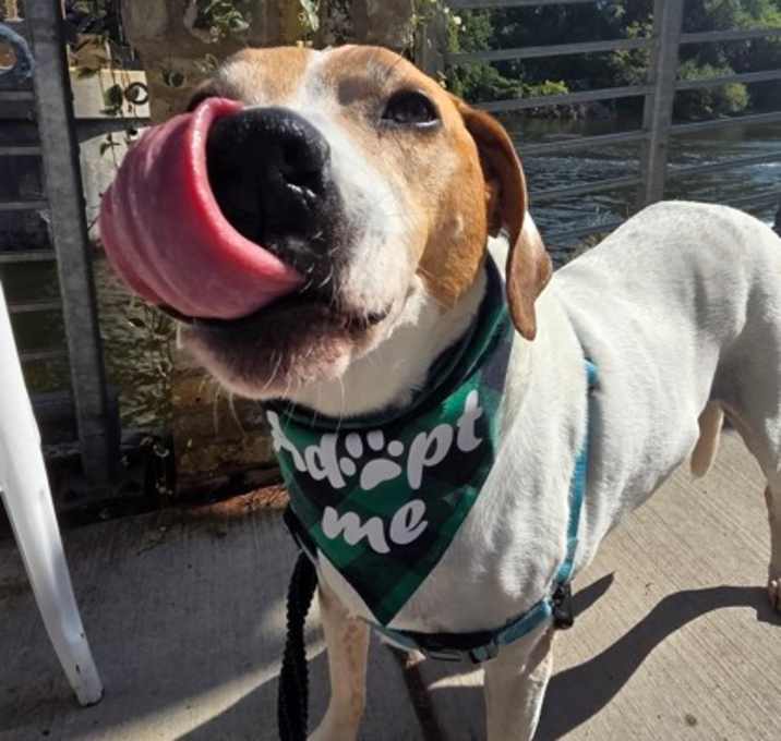 Photo of Fonzie