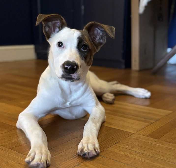 Photo of That’s Hot