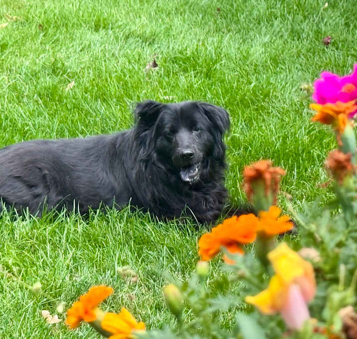 Photo of Sammy