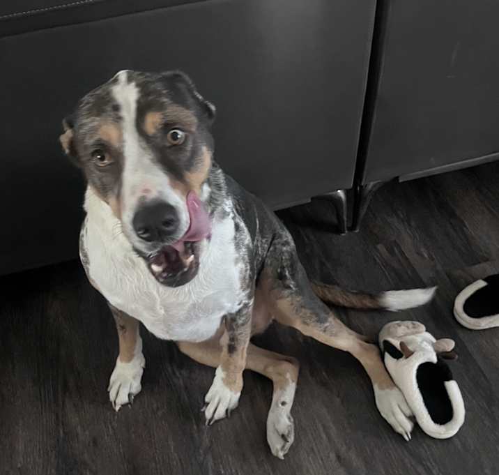 Photo of Riddick