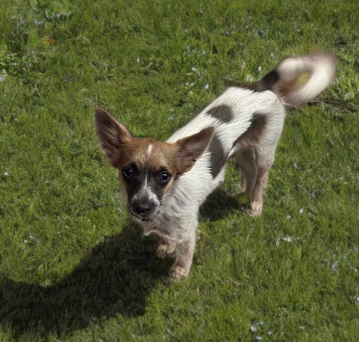 Photo of Pancho Villa