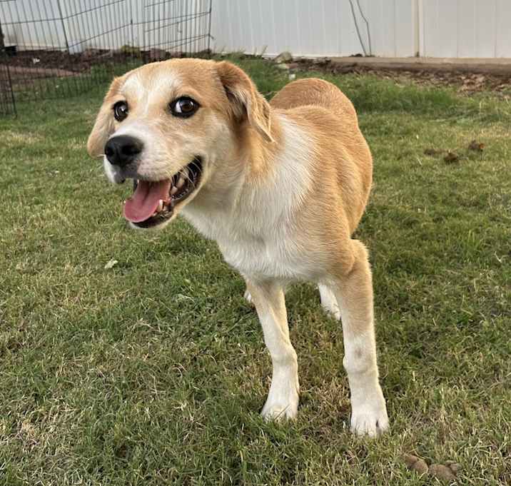 Photo of Jack Jack
