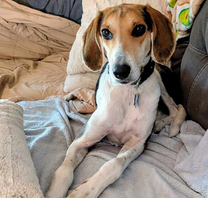Photo of Essie