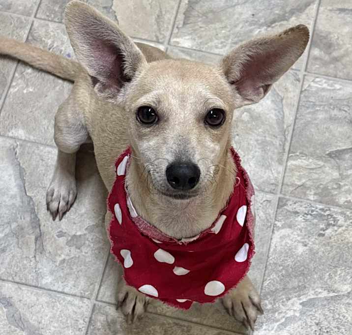 Photo of Missy