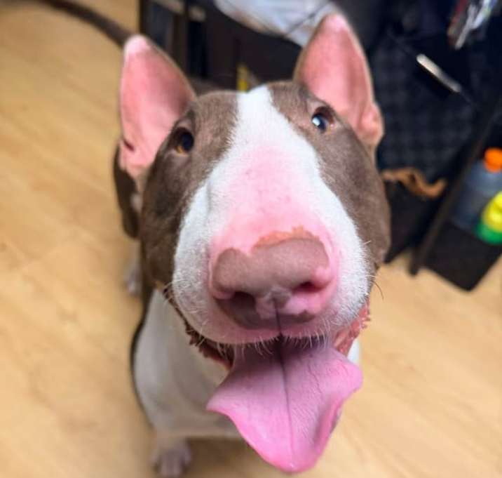 Photo of 25-073 Harold