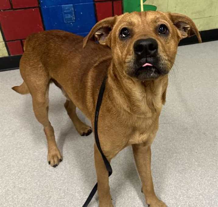 Photo of RUFUS