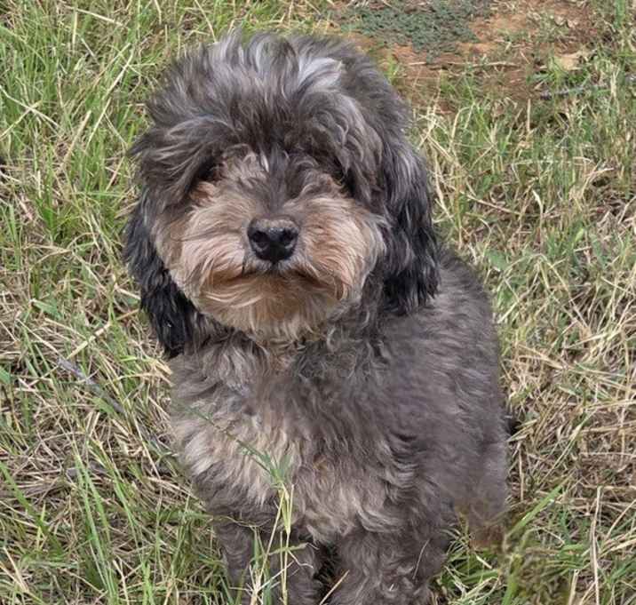 Photo of Stormy