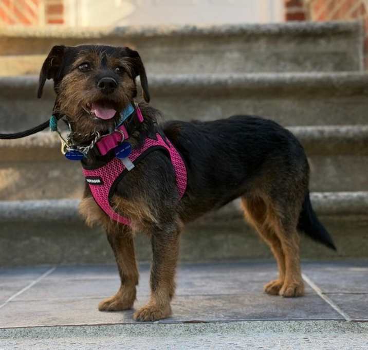 Photo of Madame