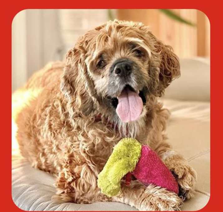 Photo of MAX