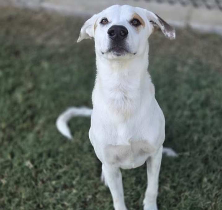 Photo of CASPER