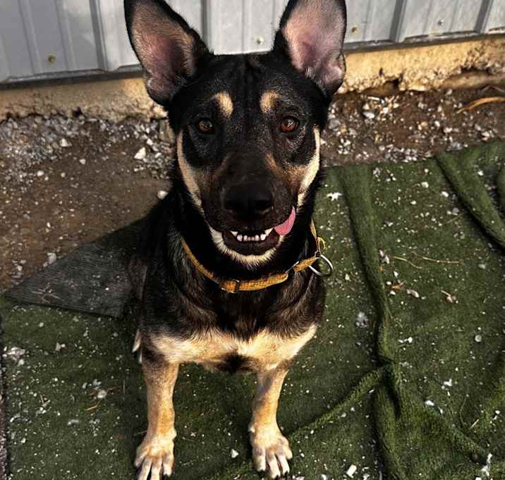 Photo of Winnie the Pooh