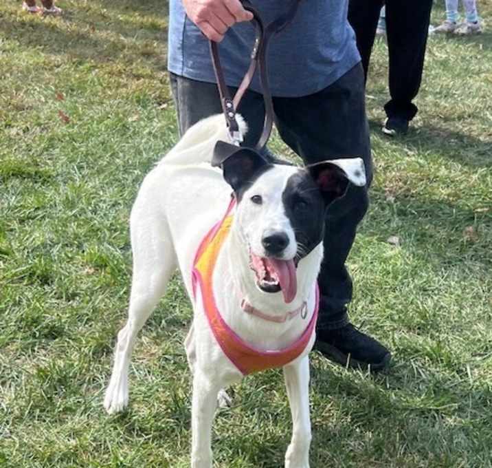 Photo of Luna (aka Fluffin)