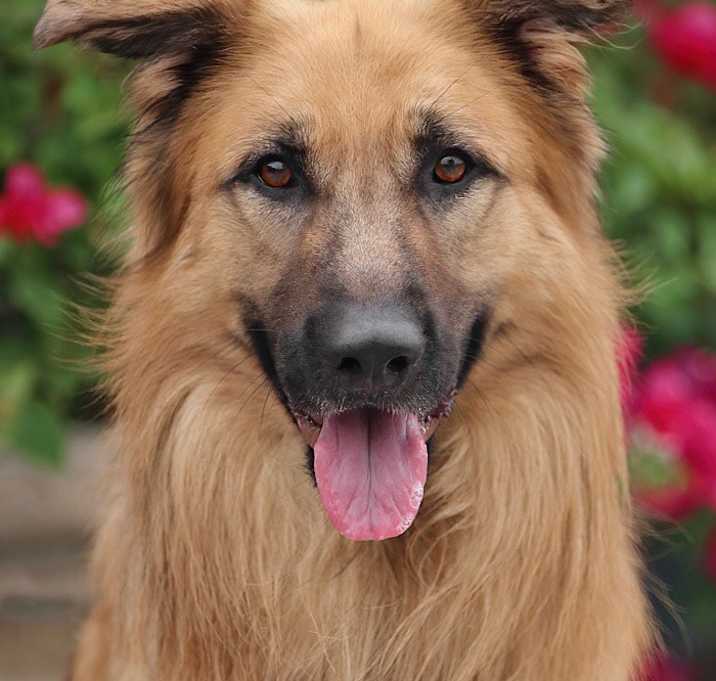 Photo of Kilo von Marburg