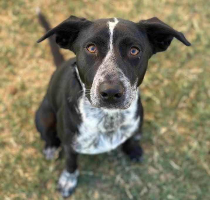 Photo of Duke