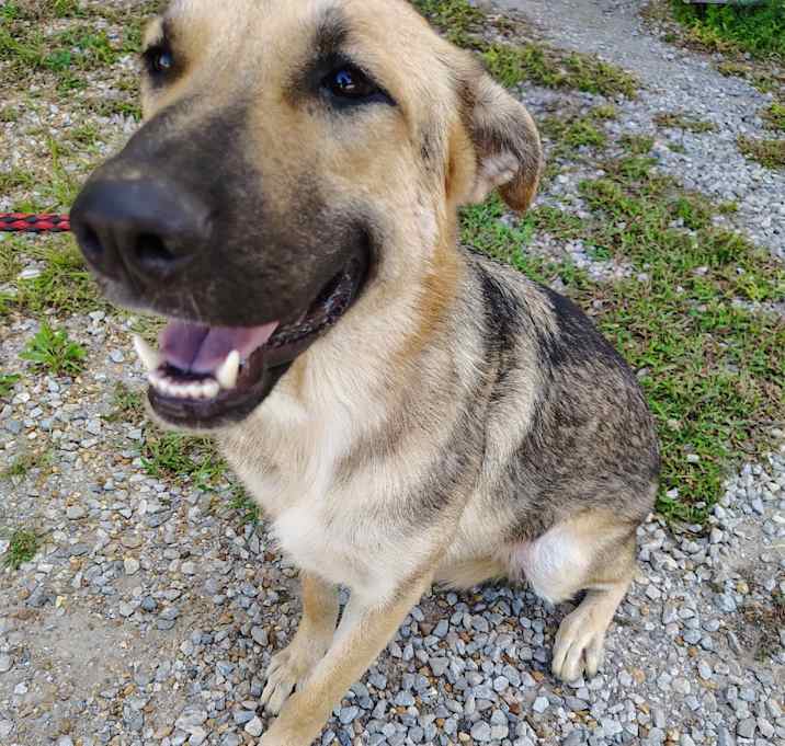 Photo of Thumbalina 8886