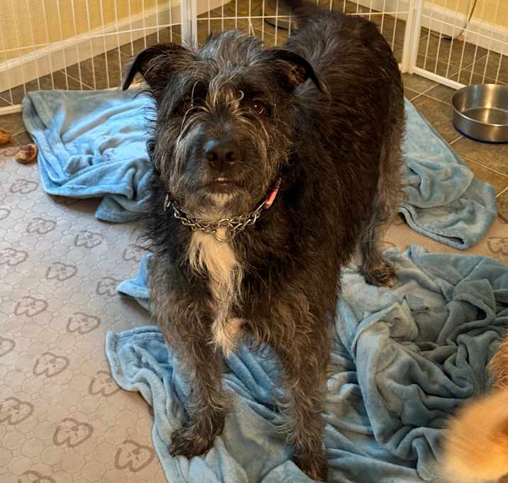 Photo of Millie