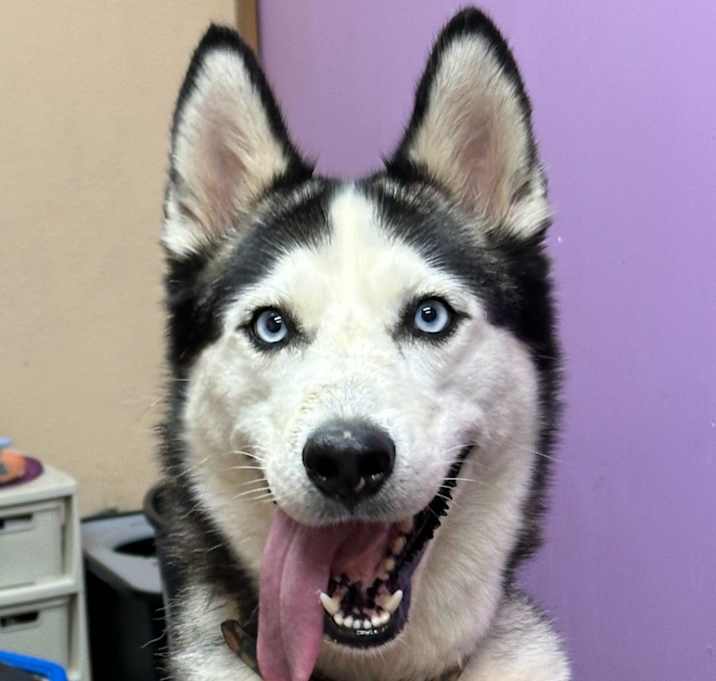 Photo of Enid