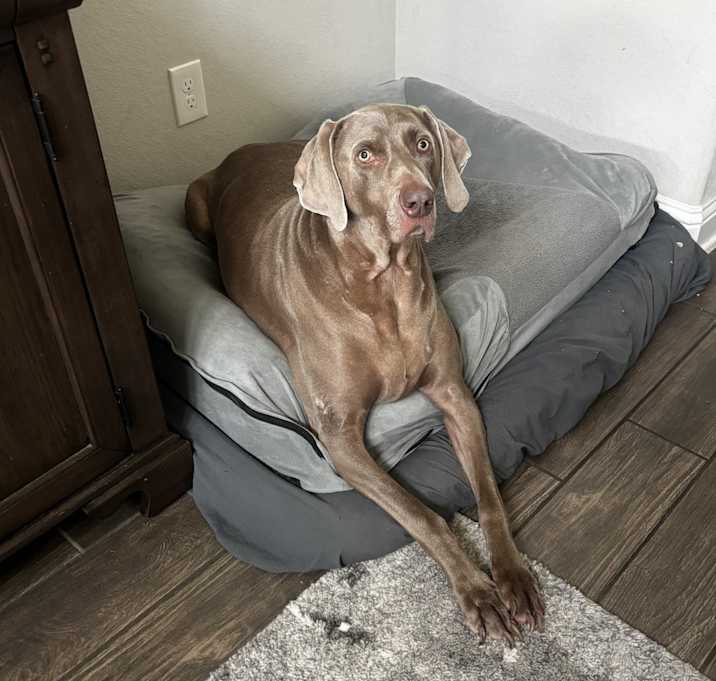 Photo of Titus