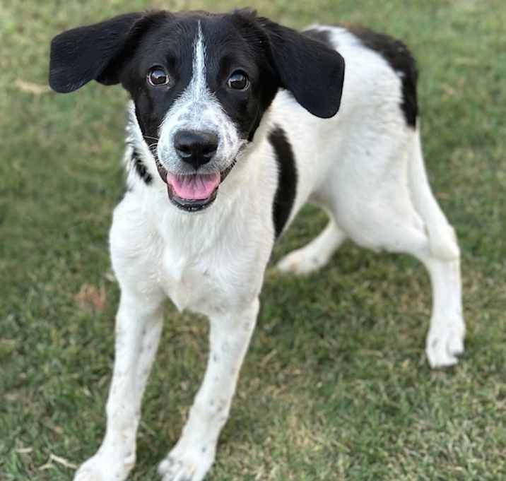 Photo of Annie