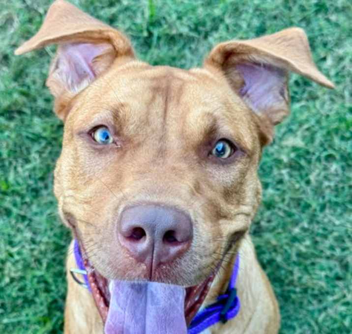 Photo of Roxy